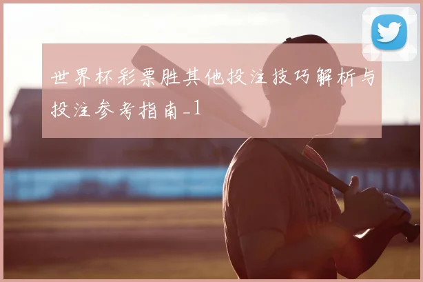 世界杯彩票胜其他投注技巧解析与投注参考指南_1