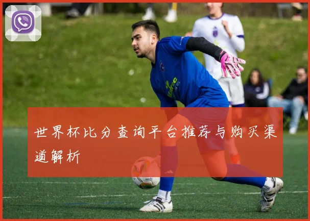 世界杯比分查询平台推荐与购买渠道解析