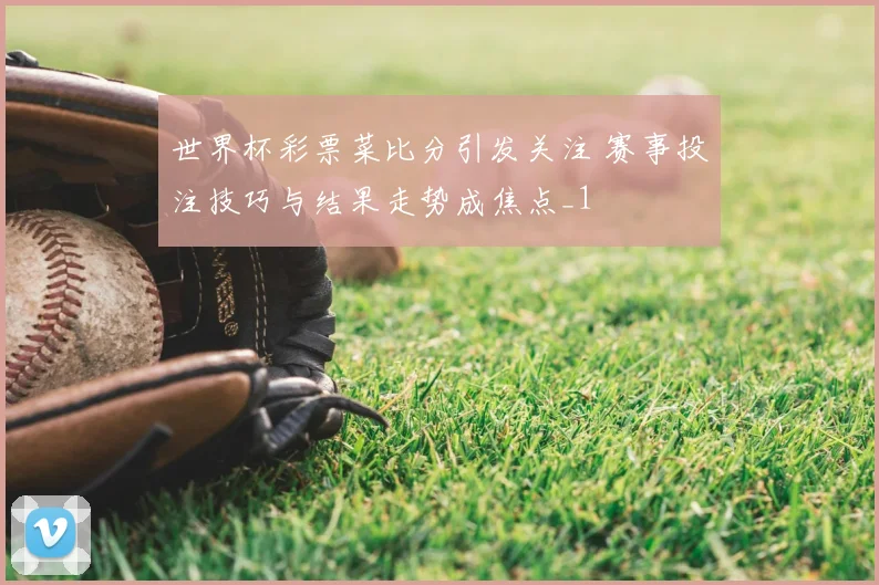 世界杯彩票菜比分引发关注 赛事投注技巧与结果走势成焦点_1